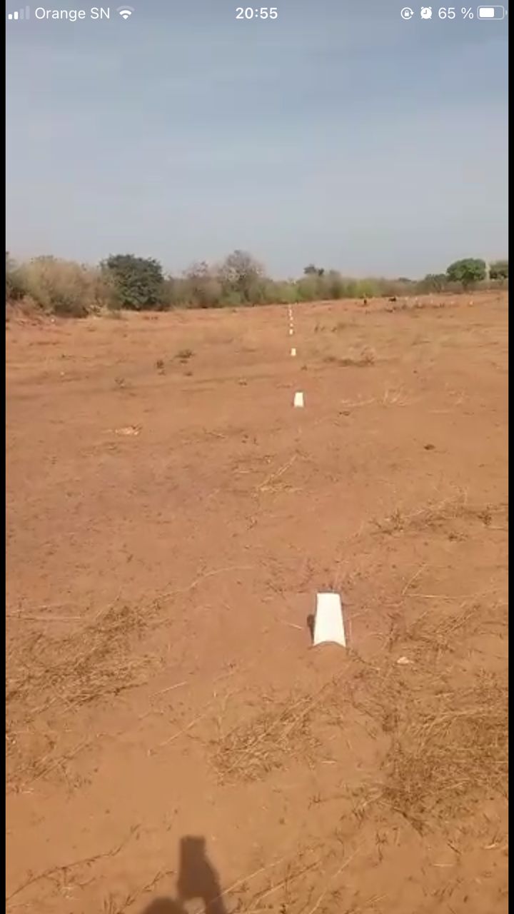 Terrains à vendre Sébikotane