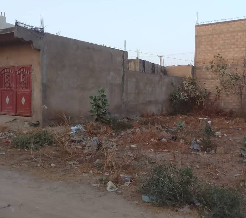 IMAGE TERRAIN MME NDIAYE 1