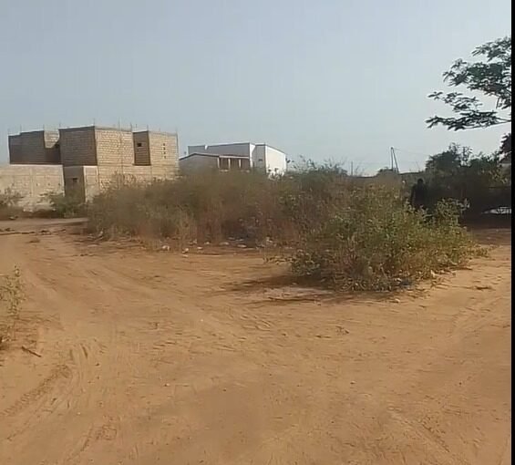 TERRAIN À VENDRE – SALY NDIOROKH